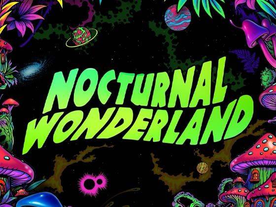 Nocturnal Wonderland - 2 Day Pass